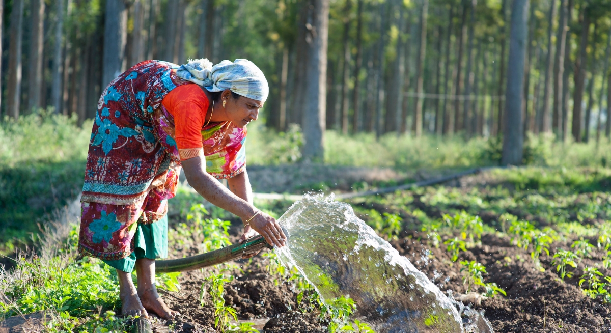 organic farming