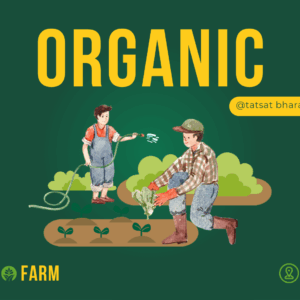 Organic